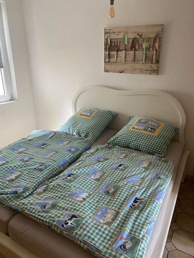 Ferienwohnung Am Gruenen Band, Gretchen Wittingen Kültér fotó